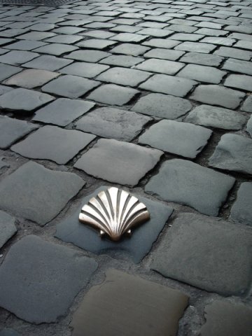 camino shell